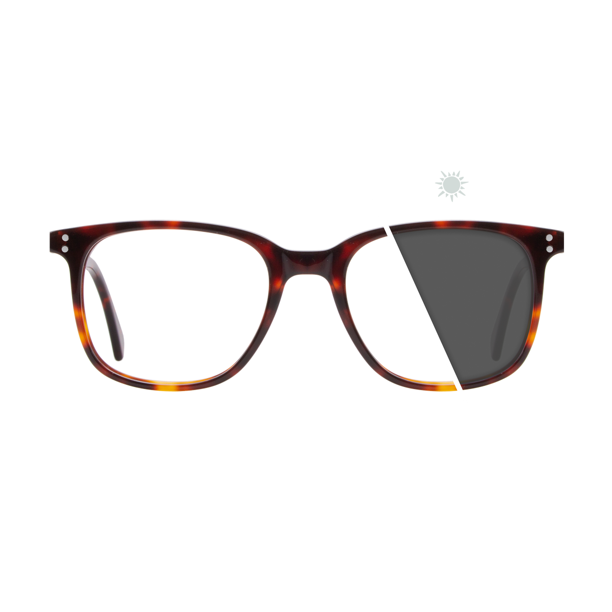 Daniel | Photochromic Glasses