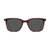 Daniel | Sunglasses