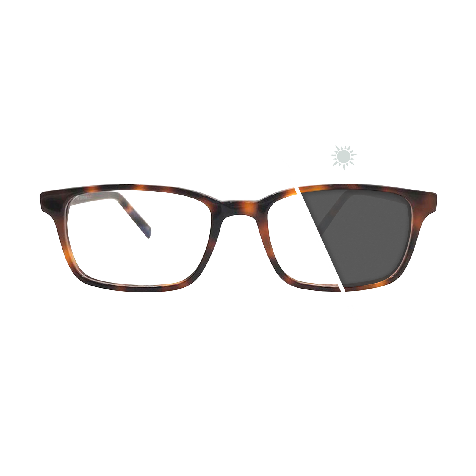 Scott | Photochromic Glasses