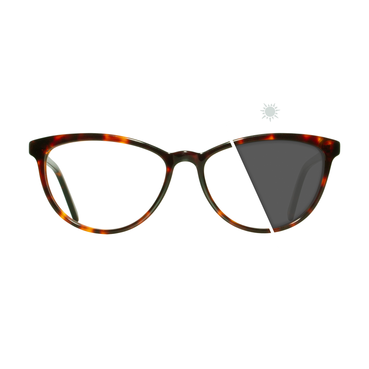 Robin | Photochromic Glasses