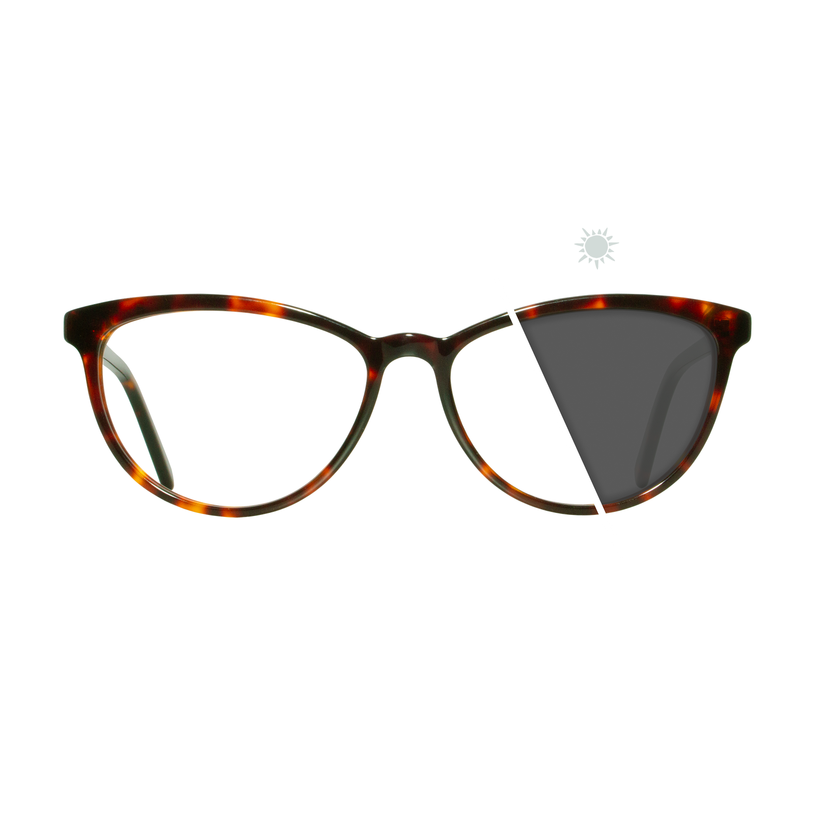 Robin | Photochromic Glasses