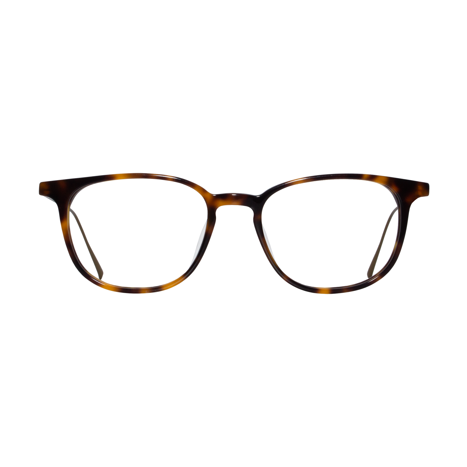 Raleigh | Eyeglasses