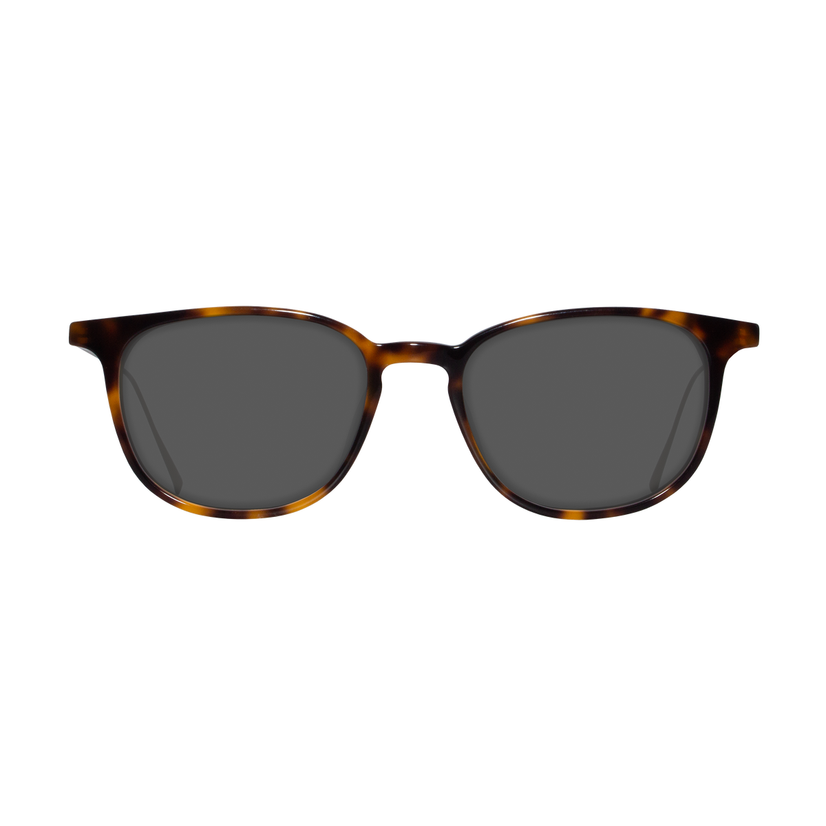 Raleigh | Sunglasses