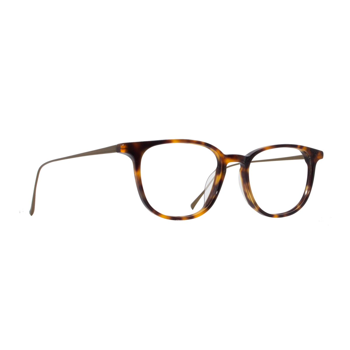 Raleigh | Eyeglasses