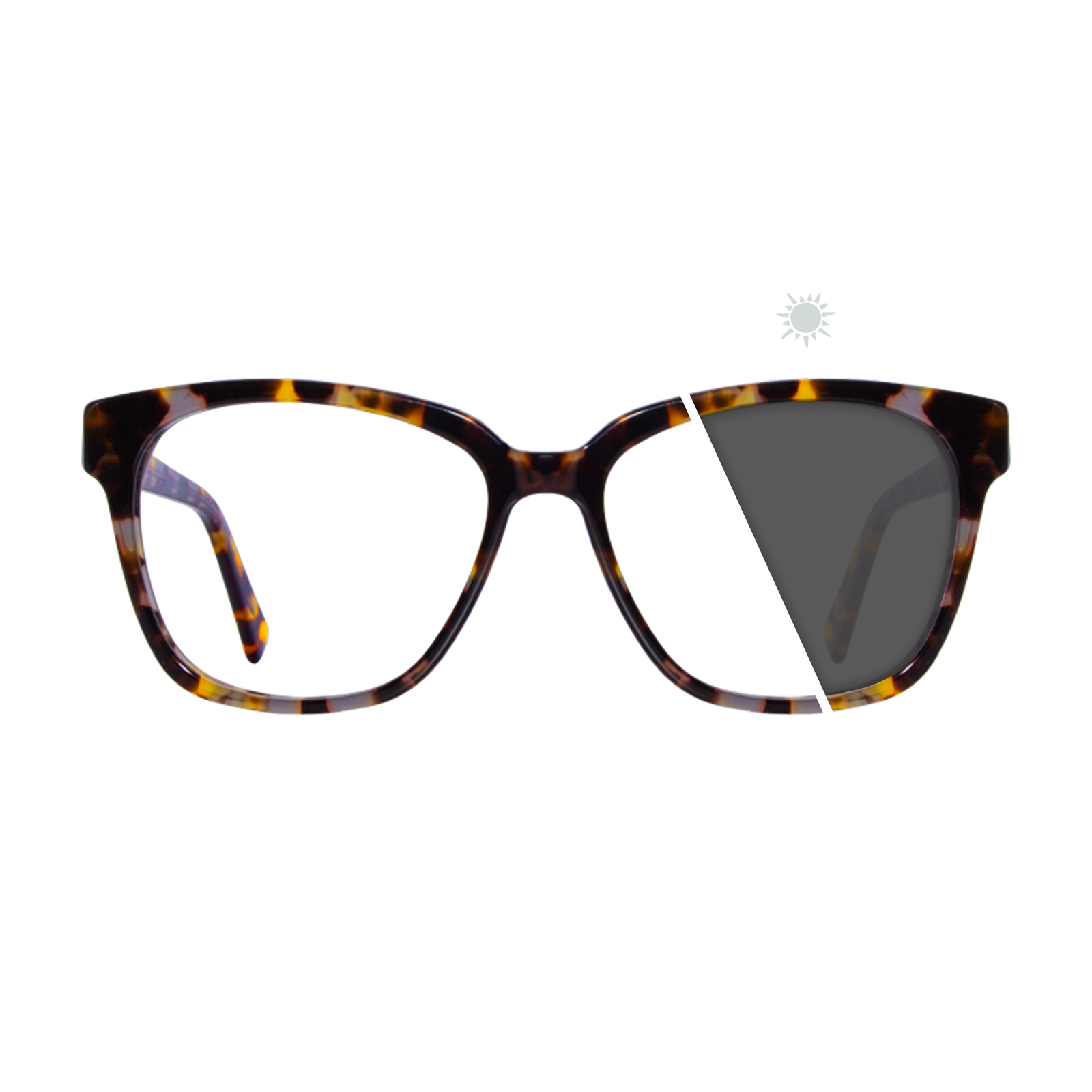 Fifer | Photochromic Glasses