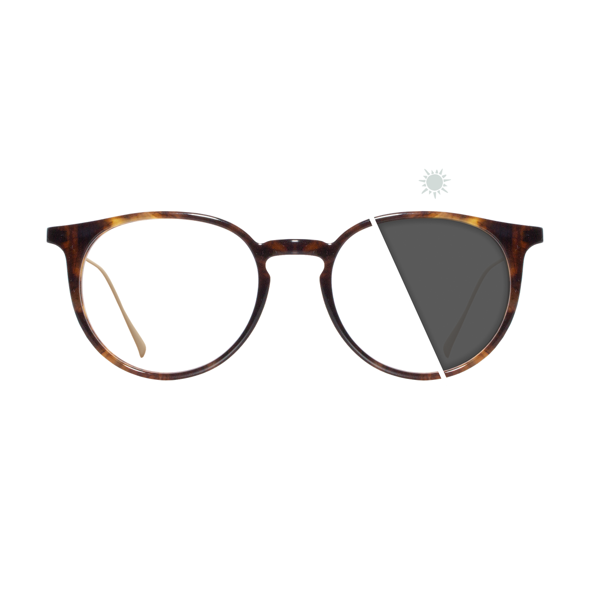 Alex | Photochromic Glasses