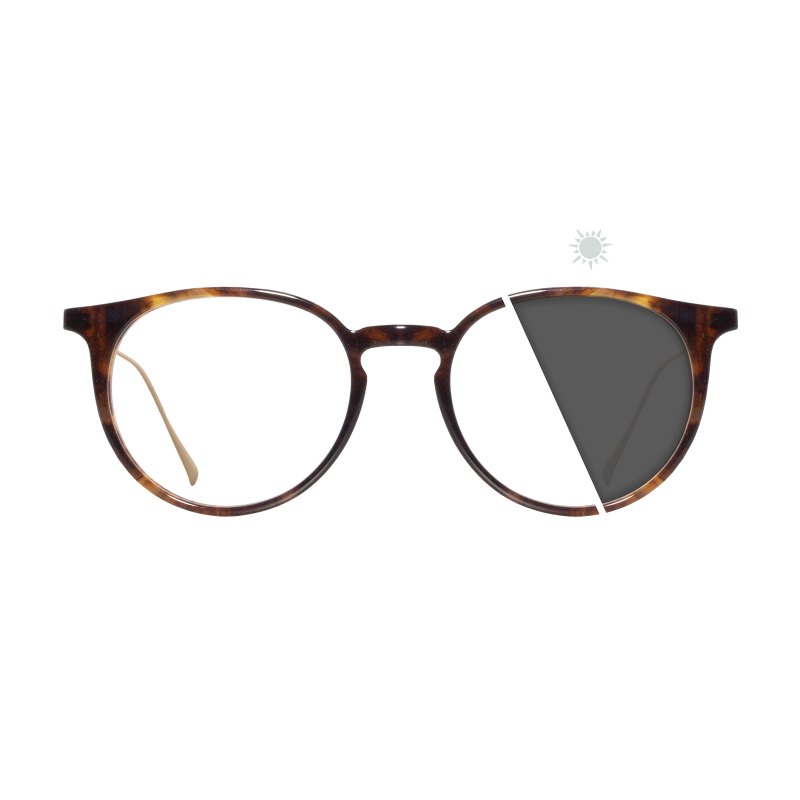 Alex | Photochromic Glasses