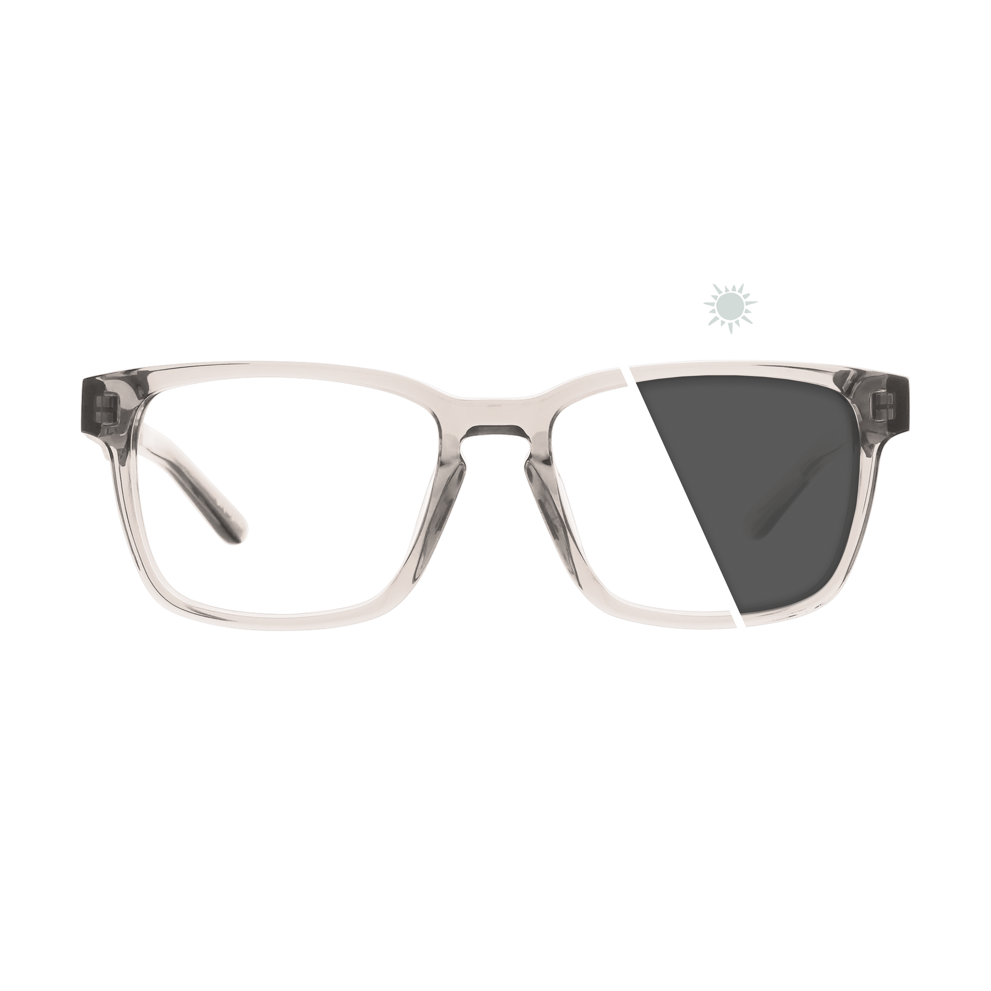 Branch | Photochromic Glasses