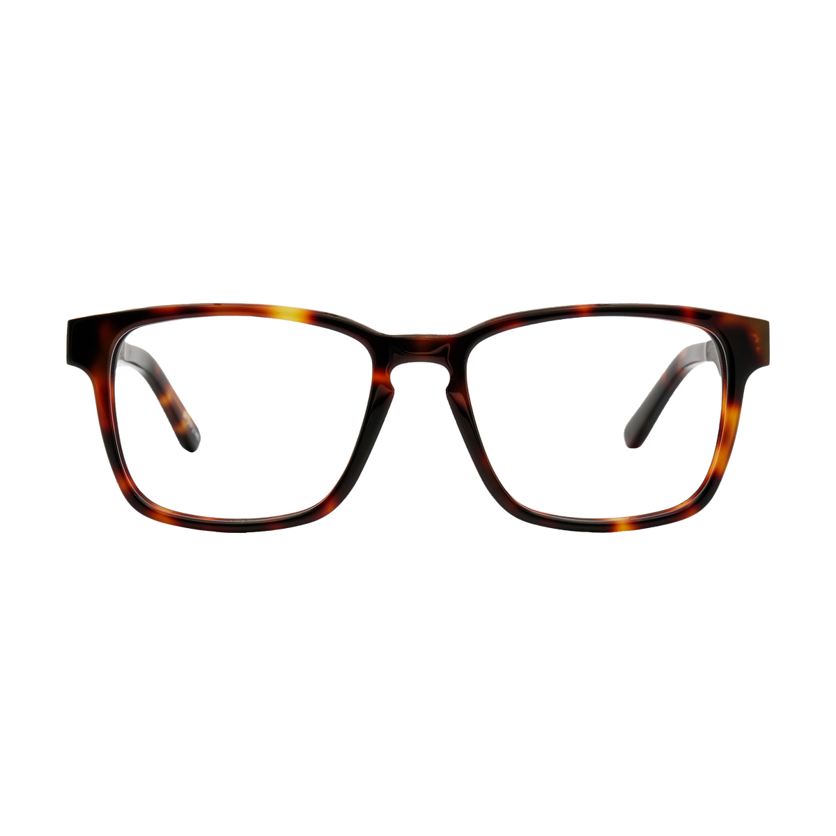Branch | Eyeglasses