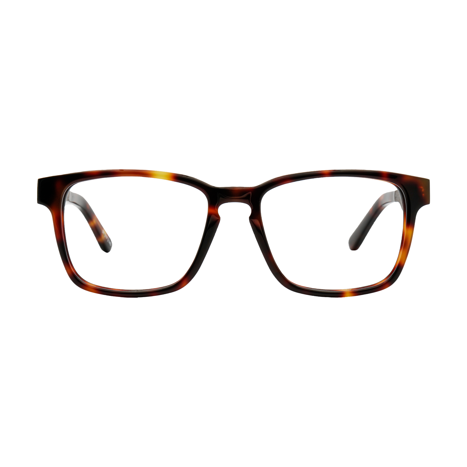 Branch | Eyeglasses