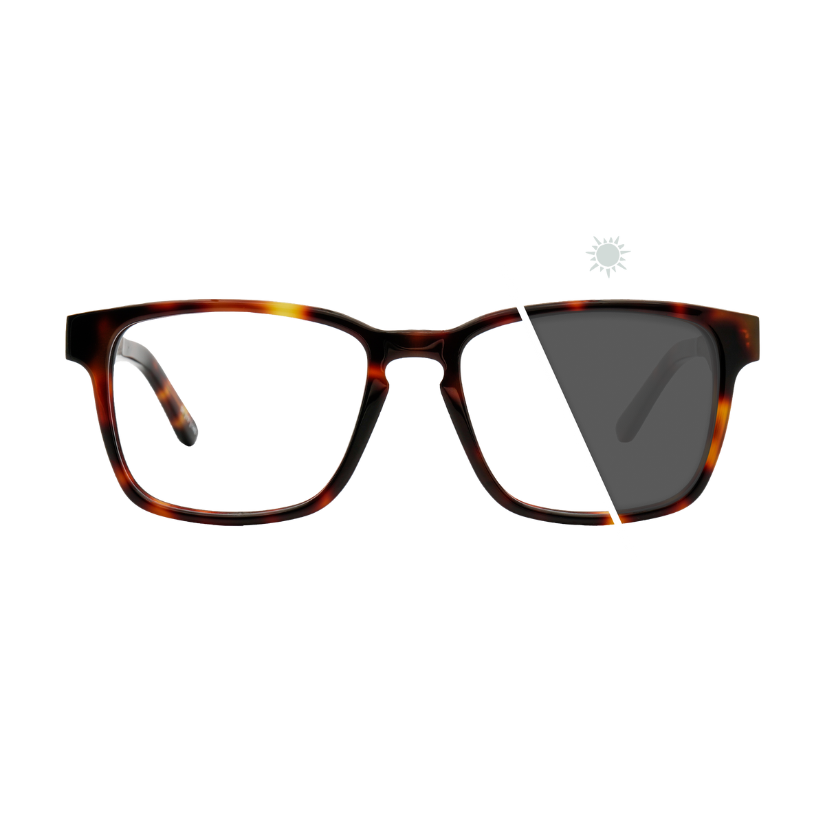 Branch | Photochromic Glasses