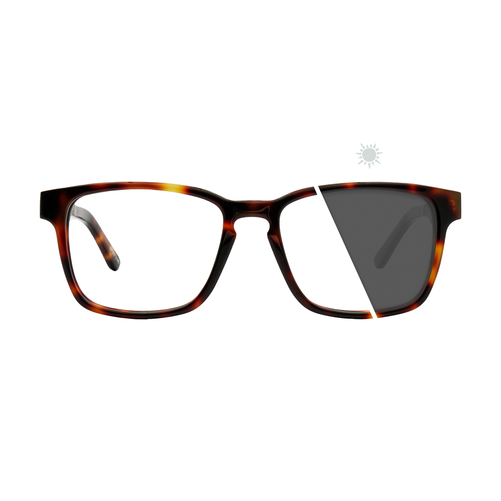 Branch | Photochromic Glasses