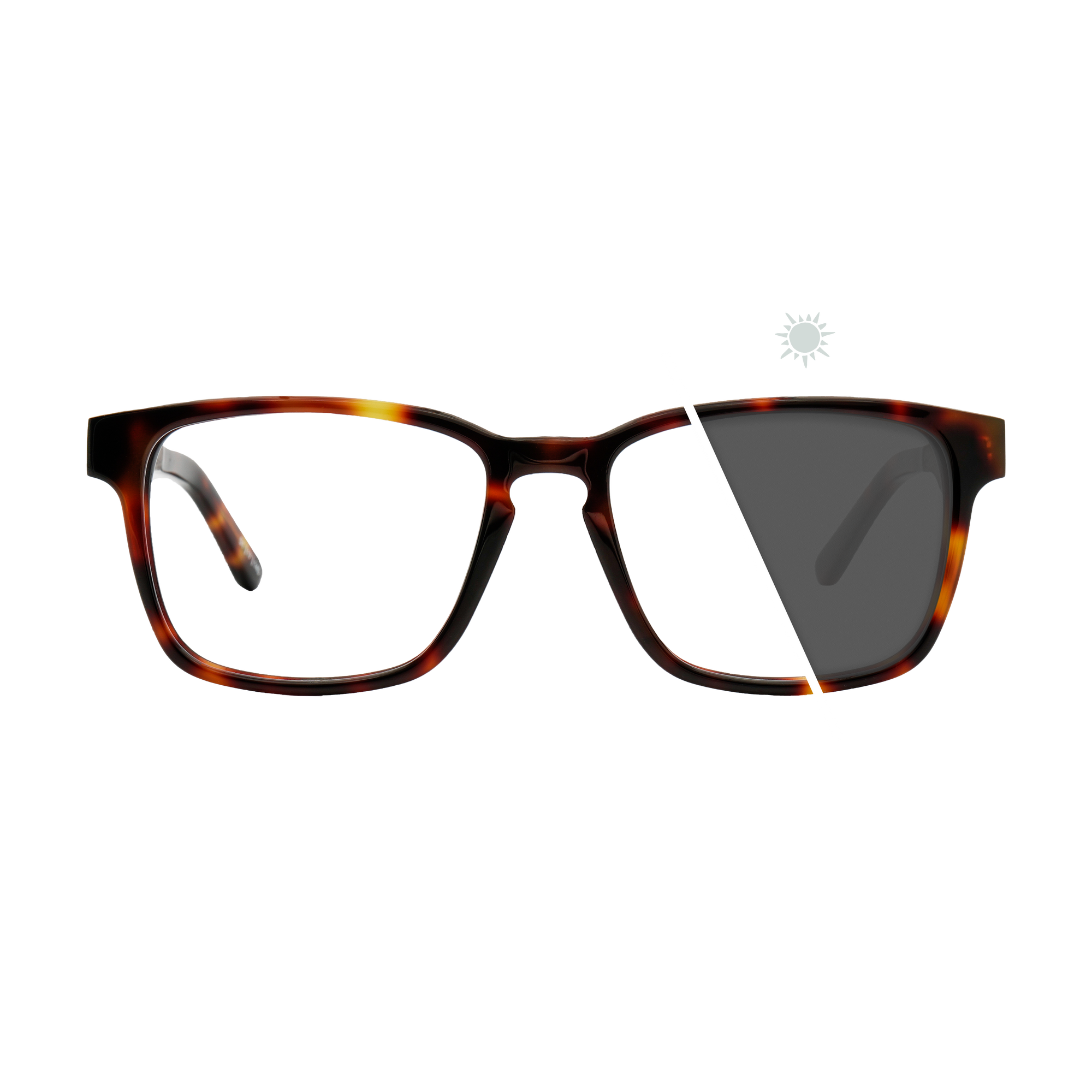 Branch | Photochromic Glasses