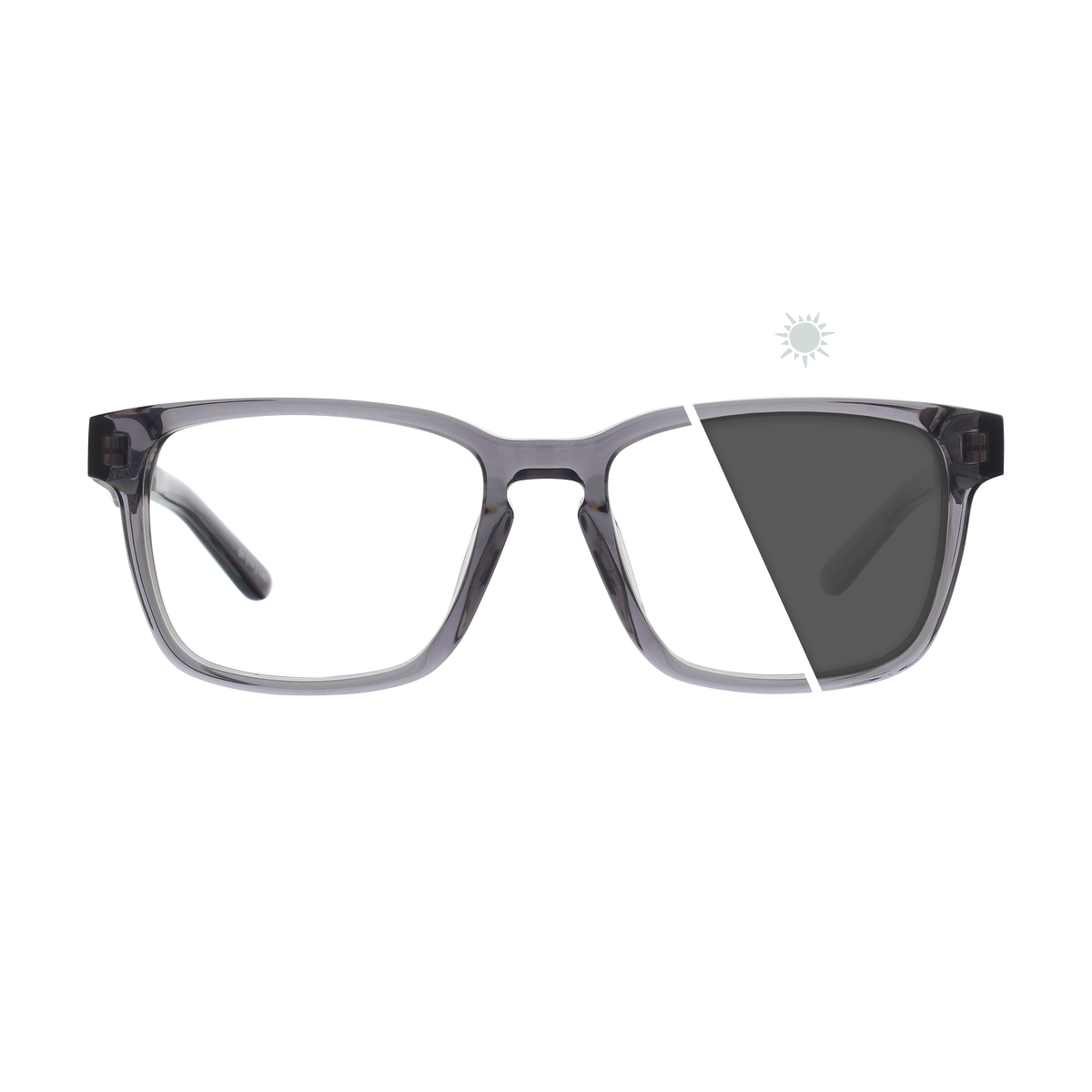 Branch | Photochromic Glasses