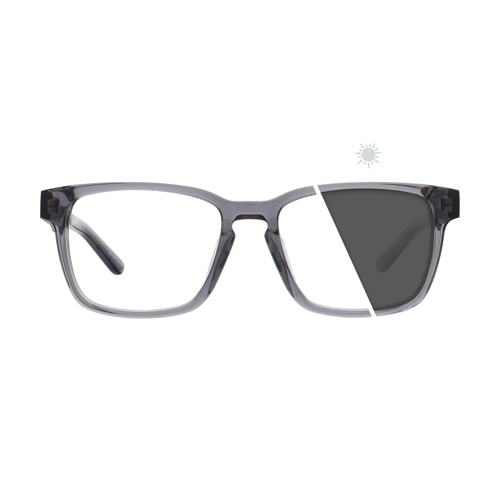 Branch | Photochromic Glasses