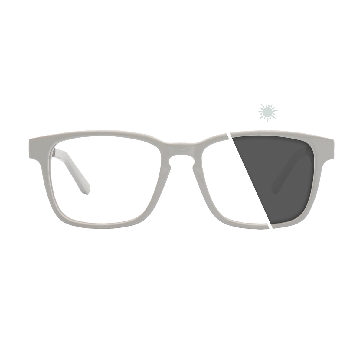 Branch | Photochromic Glasses