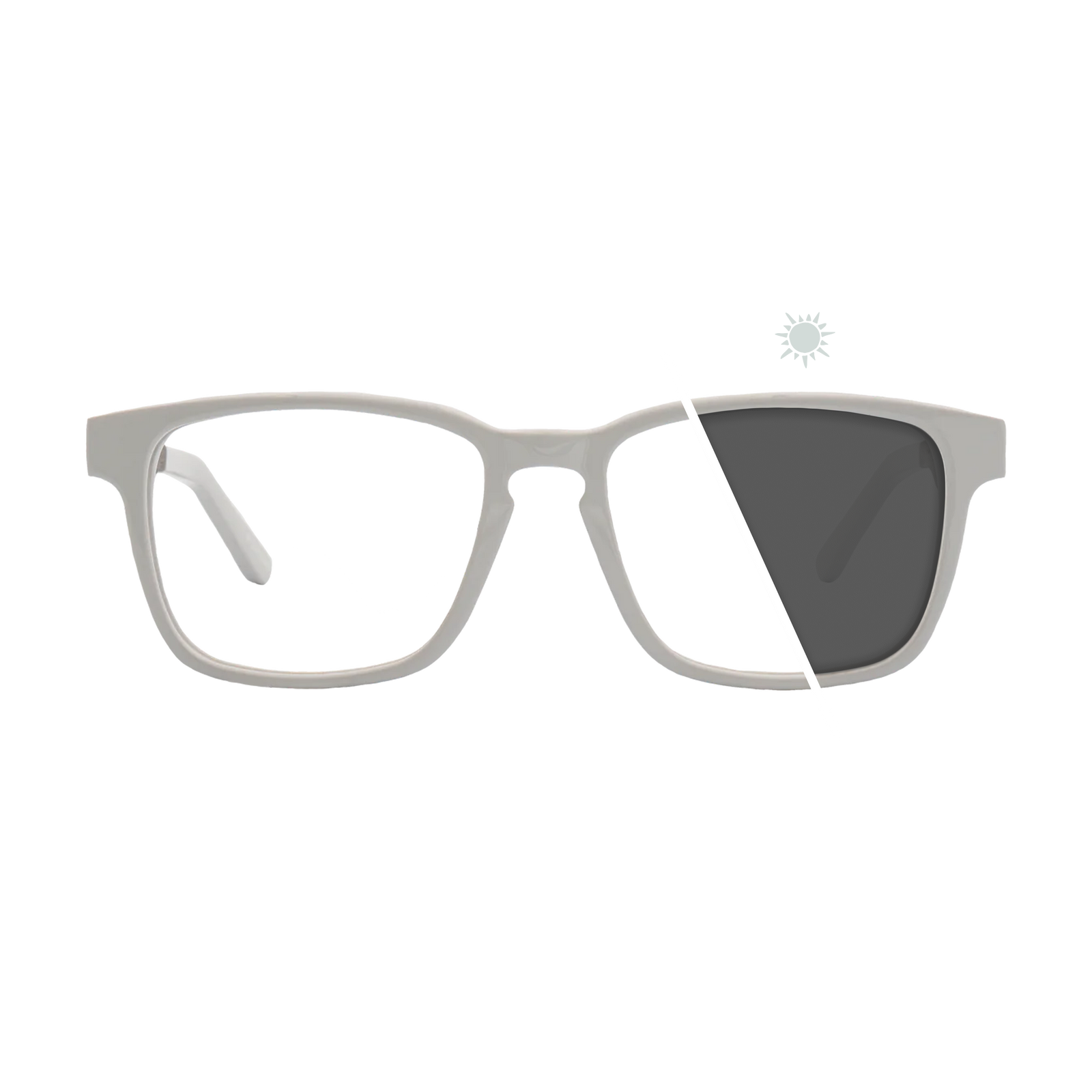 Branch | Photochromic Glasses