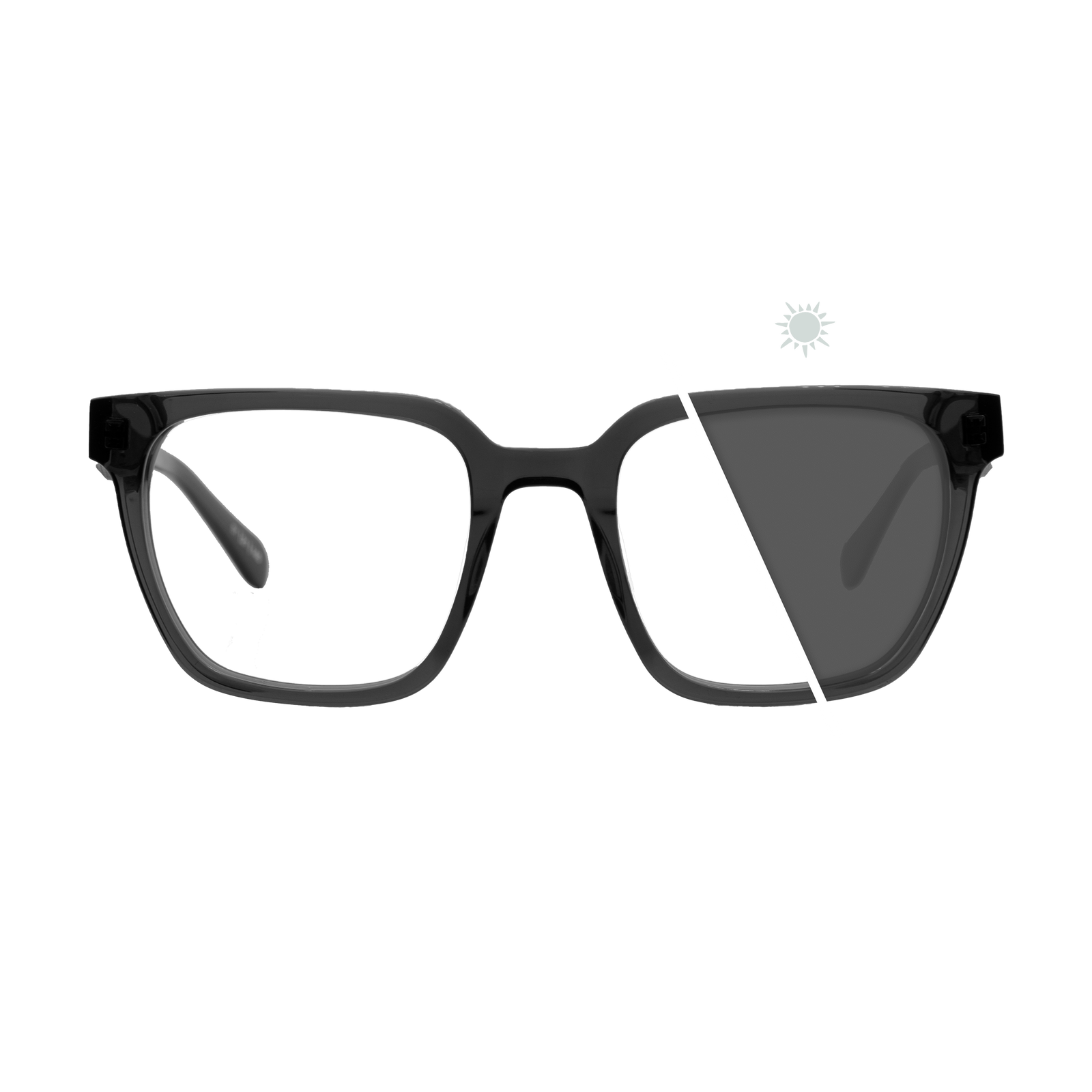 Longitude | Photochromic Glasses