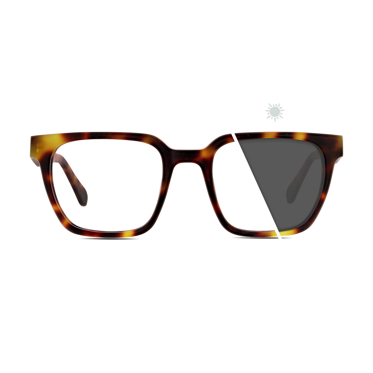 Longitude | Photochromic Glasses