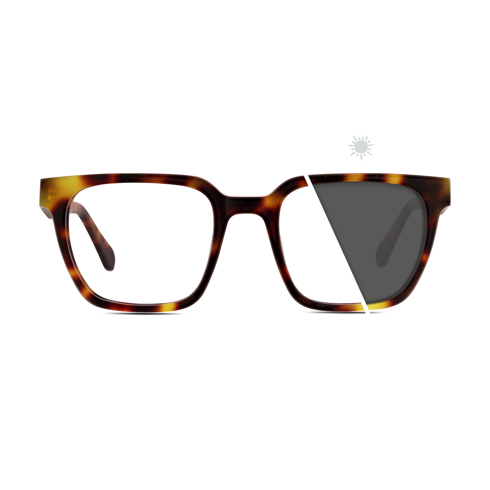 Longitude | Photochromic Glasses